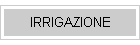 IRRIGAZIONE